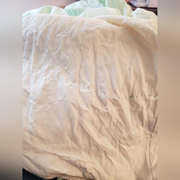 Vintage Victorian Style Mint Green Velvet and Lace Dress - Picture 8 of 10